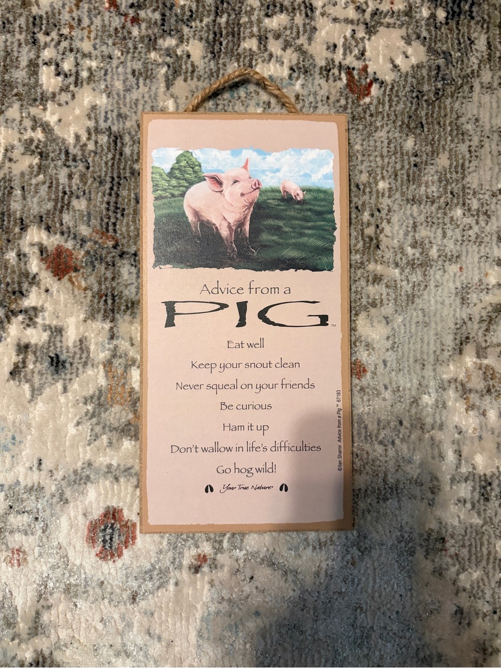 Decor Pig Sign